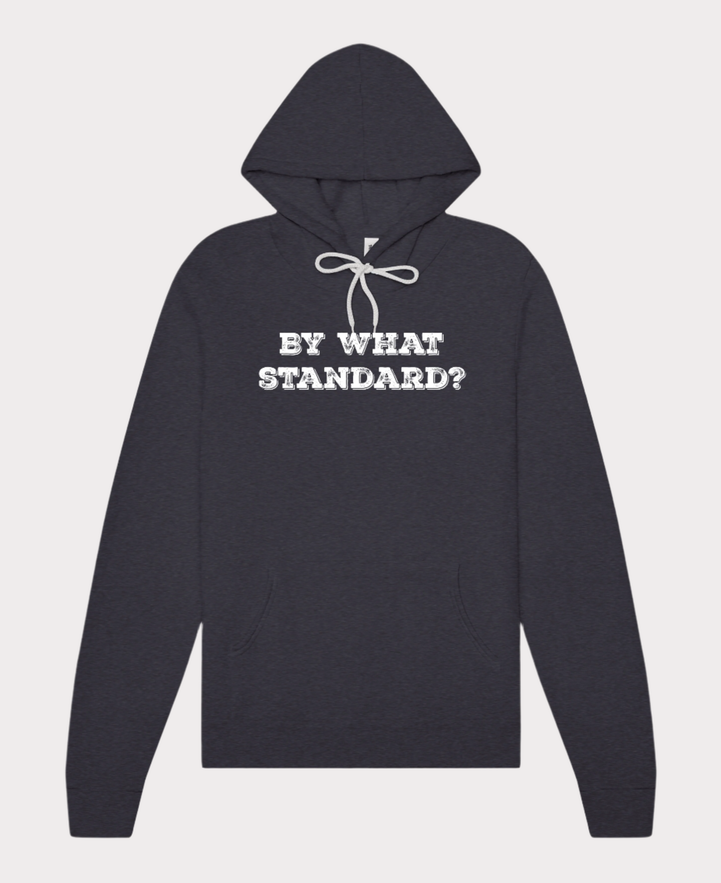 By What Standard? Hoodie