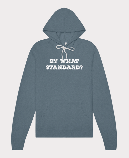 By What Standard? Hoodie