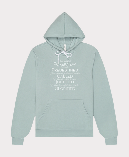 Romans 8:30 Hoodie