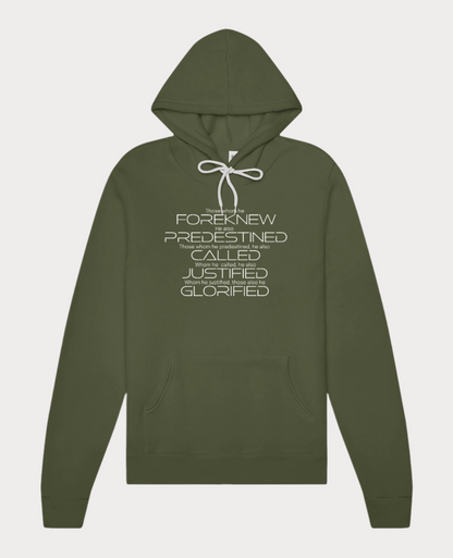 Romans 8:30 Hoodie